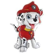 Paw Patrol